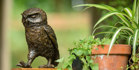 Bronze Resin Owl Sculpture